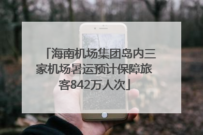 海南机场集团岛内三家机场暑运预计保障旅客842万人次