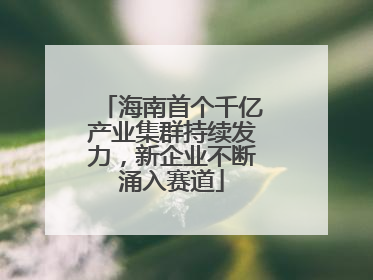 海南首个千亿产业集群持续发力，新企业不断涌入赛道