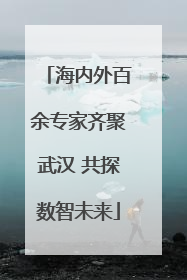海内外百余专家齐聚武汉 共探数智未来