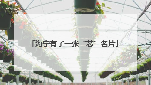 海宁有了一张“芯”名片