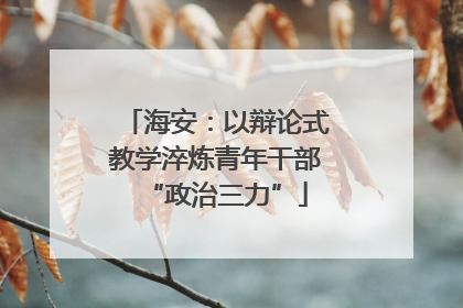 海安：以辩论式教学淬炼青年干部“政治三力”