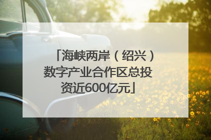 海峡两岸（绍兴）数字产业合作区总投资近600亿元