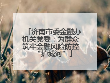 济南市委金融办机关党委：为群众筑牢金融风险防控“护城河”