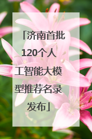 济南首批120个人工智能大模型推荐名录发布
