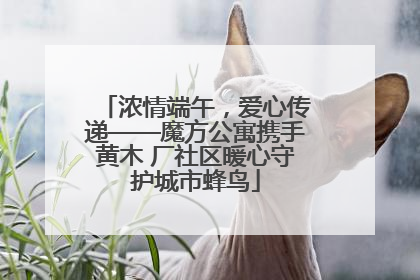 浓情端午，爱心传递——魔方公寓携手黄木 厂社区暖心守护城市蜂鸟
