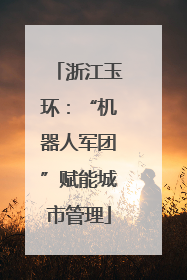 浙江玉环：“机器人军团”赋能城市管理