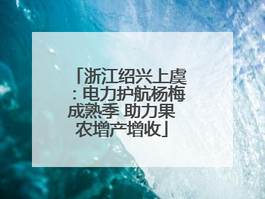浙江绍兴上虞：电力护航杨梅成熟季 助力果农增产增收
