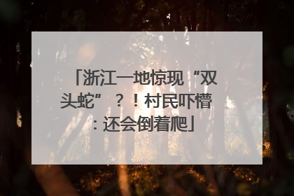 浙江一地惊现“双头蛇”？！村民吓懵：还会倒着爬