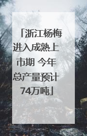 浙江杨梅进入成熟上市期 今年总产量预计74万吨