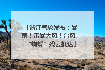 浙江气象发布：暴雨！雷暴大风！台风“蝴蝶”残云抵达