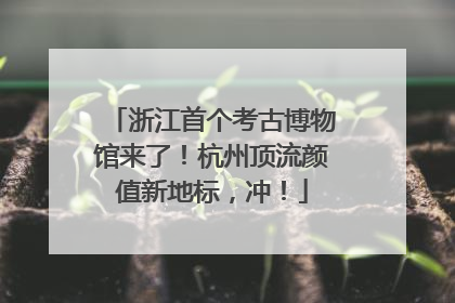 浙江首个考古博物馆来了！杭州顶流颜值新地标，冲！