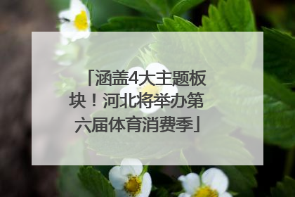 涵盖4大主题板块！河北将举办第六届体育消费季