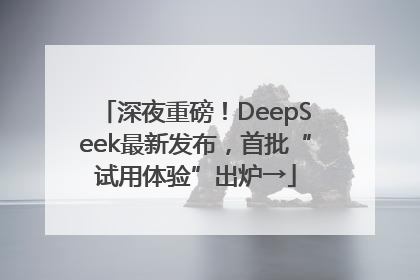 深夜重磅！DeepSeek最新发布，首批“试用体验”出炉→