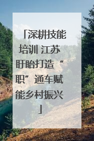深耕技能培训 江苏盱眙打造“职”通车赋能乡村振兴