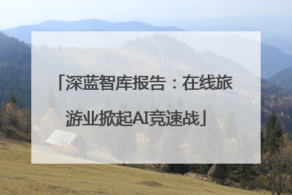 深蓝智库报告：在线旅游业掀起AI竞速战