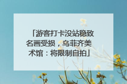 游客打卡没站稳致名画受损，乌菲齐美术馆：将限制自拍