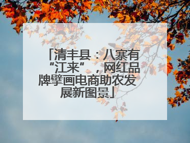 清丰县：八寨有“江来”，网红品牌擘画电商助农发展新图景