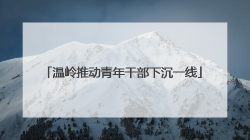 温岭推动青年干部下沉一线