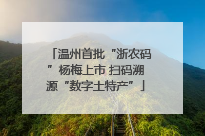 温州首批“浙农码”杨梅上市 扫码溯源“数字土特产”