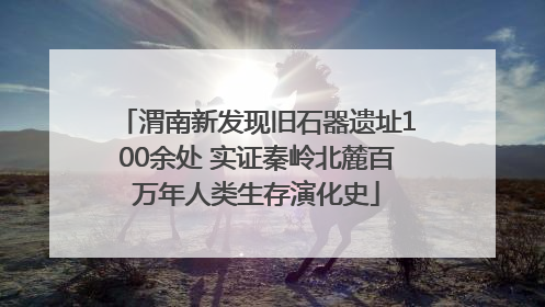 渭南新发现旧石器遗址100余处 实证秦岭北麓百万年人类生存演化史