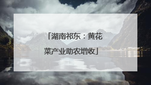 湖南祁东：黄花菜产业助农增收