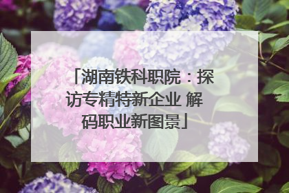 湖南铁科职院：探访专精特新企业 解码职业新图景