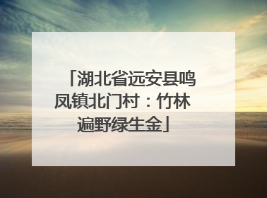 湖北省远安县鸣凤镇北门村：竹林遍野绿生金