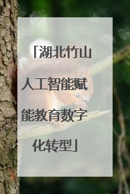 湖北竹山人工智能赋能教育数字化转型