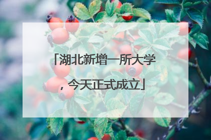 湖北新增一所大学，今天正式成立