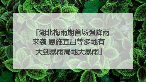 湖北梅雨期首场强降雨来袭 恩施宜昌等多地有大到暴雨局地大暴雨