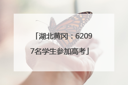 湖北黄冈：62097名学生参加高考