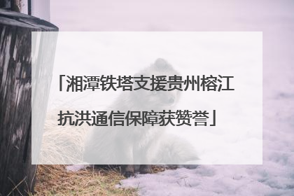 湘潭铁塔支援贵州榕江抗洪通信保障获赞誉