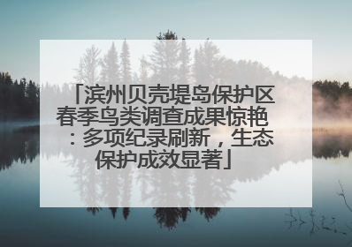 滨州贝壳堤岛保护区春季鸟类调查成果惊艳：多项纪录刷新，生态保护成效显著