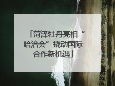 菏泽牡丹亮相“哈洽会”撬动国际合作新机遇