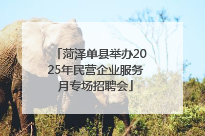 菏泽单县举办2025年民营企业服务月专场招聘会