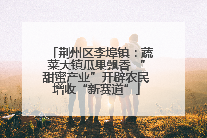 荆州区李埠镇：蔬菜大镇瓜果飘香 “甜蜜产业”开辟农民增收“新赛道”