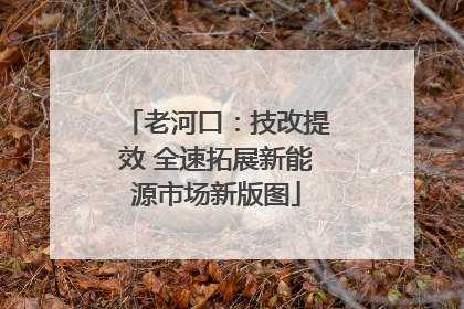 老河口：技改提效 全速拓展新能源市场新版图