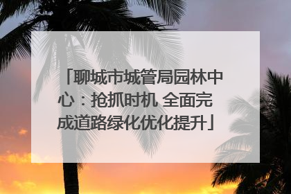 聊城市城管局园林中心：抢抓时机 全面完成道路绿化优化提升