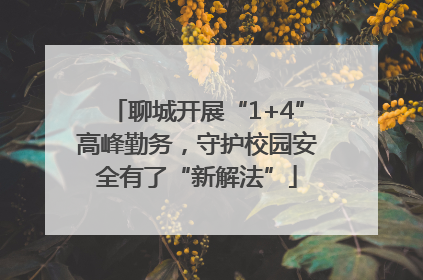 聊城开展“1+4”高峰勤务，守护校园安全有了“新解法”
