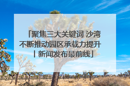聚焦三大关键词 沙湾不断推动园区承载力提升丨新闻发布最前线