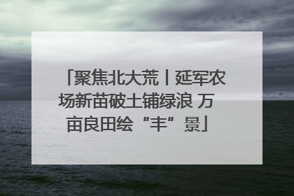 聚焦北大荒丨延军农场新苗破土铺绿浪 万亩良田绘“丰”景