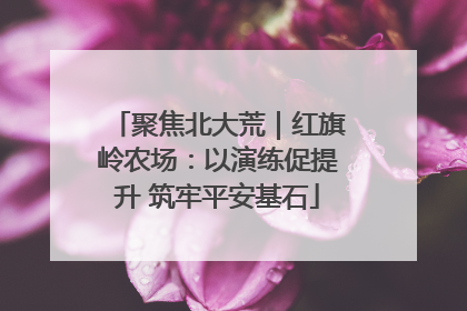 聚焦北大荒｜红旗岭农场：以演练促提升 筑牢平安基石