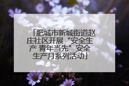 肥城市新城街道赵庄社区开展“安全生产 青年当先”安全生产月系列活动