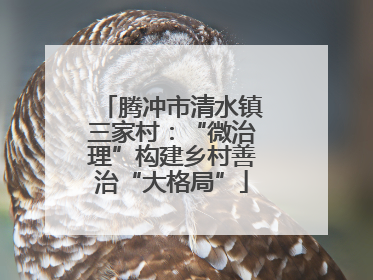 腾冲市清水镇三家村：“微治理”构建乡村善治“大格局”