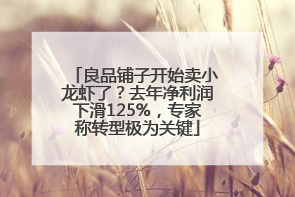 良品铺子开始卖小龙虾了？去年净利润下滑125%，专家称转型极为关键