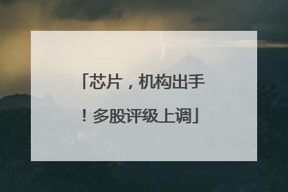 芯片，机构出手！多股评级上调