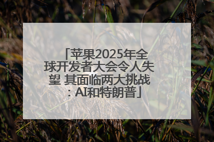 苹果2025年全球开发者大会令人失望 其面临两大挑战：AI和特朗普