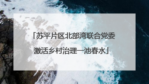 苏平片区北部湾联合党委 激活乡村治理一池春水