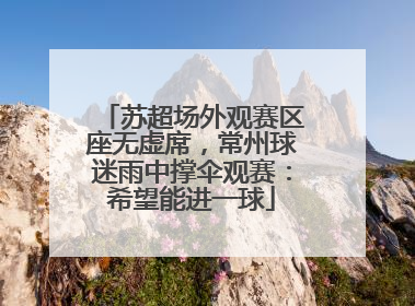 苏超场外观赛区座无虚席，常州球迷雨中撑伞观赛：希望能进一球