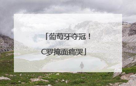 葡萄牙夺冠！C罗掩面痛哭